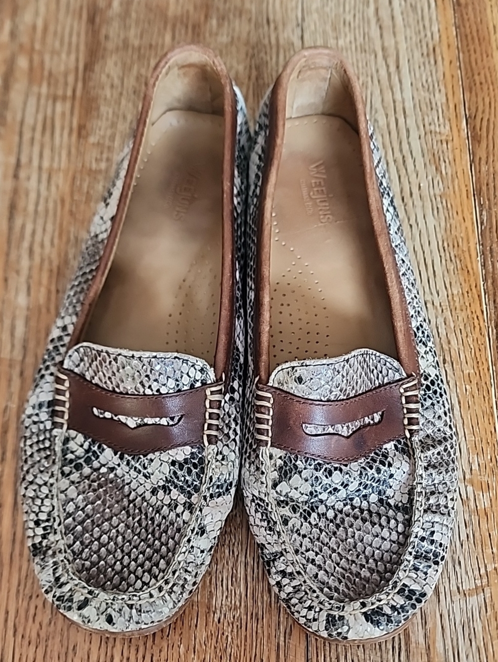 Weejuns Snake-Print Penny Loafers in Brown/Beige